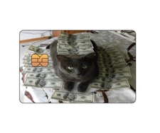 "Money Cat" Funny Credit / Debit Card Skin Cover Decal Sticker *SMALL CHIP