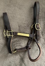 DA HOSS HORSE RACING HALTER BREEDERS CUP CHAMPION GARY STEVENS JOHN VELASQUEZ