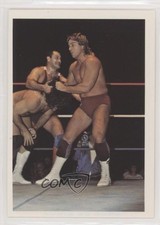 1988 Wonderama NWA Terry Taylor #140 0lk4