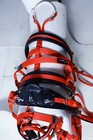 Bild 31 von 38