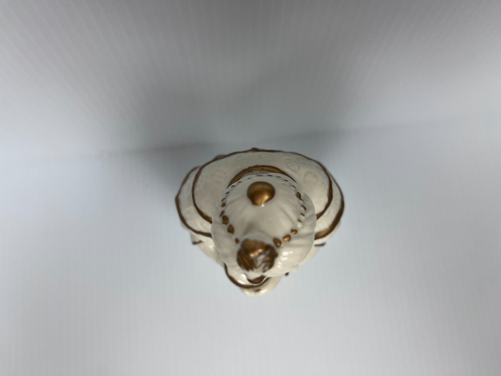 Picture 6 of 6