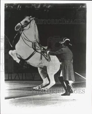 Press Photo Royal Lipizzan Stallion Performing at the Summit - hpa26677