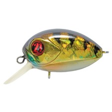 Pontoon21 Red Rag 36F-SR 307 Crash HG Gold Perch, Lenght mm 36, Floating Fish...