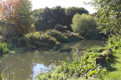 Foto 6x4 River Stort unter Harlow Mill Tempelfelder c2015