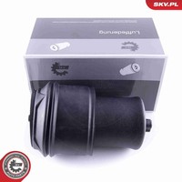 Esen SKV Luftfeder Fahrwerk 58SKV022 FüR Fiat Scudo Bus Multijet 4X4 Peugeot Hdi