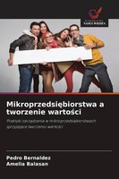 Mikroprzedsi¿Biorstwa A Tworzenie Warto¿Ci Pedro Bernaldez (U. A.) Taschenbuch
