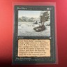 Magic the Gathering MTG Soul Burn (161) Ice Age LP
