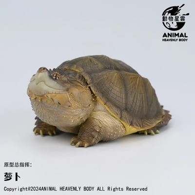 【In-Stock】Animal Heavenly Body Common Snapping Turtle Statue Chelydra serpentina