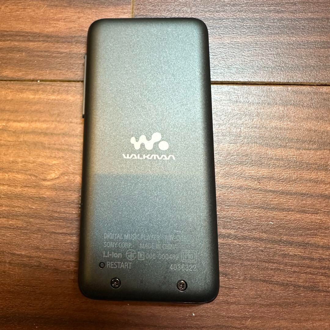 SONY Walkman NW-S313K Digital Player 4GB 2357 From Japan | eBay