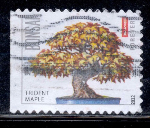 BONSAI 5 Stamps Set #4618-22 Pine Maple Juniper Banyan Azalea 45-Cent U.S. Used - Picture 5 of 6