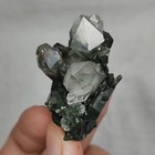 Picture 20 of 20