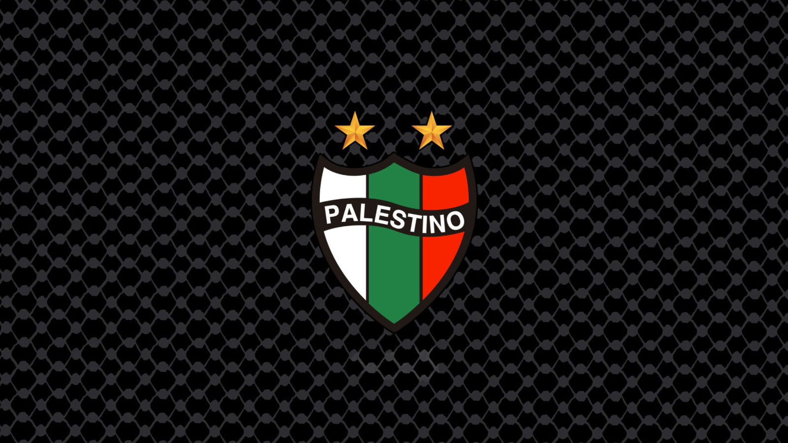 CAPELLI PALESTINO x CELTIC JERSEY PALESTINE FOOTBALL SHIRT SOCCER IRELAND