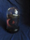 Acrylic Cloche Dome w/ Halloween Book and Little Skulls on Wood Books,  ~5.5" — photo 3