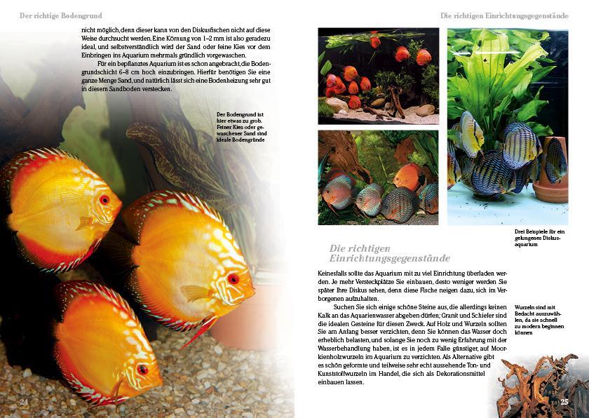 Thumbnail - Diskusfische Bernd Degen