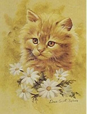 Doris Scott Nelson Print Litho in USA 50 Pieces Cat 20.4 x 15.2 cm