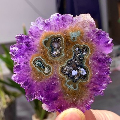 34G Natural high-quality Amethyst agate quartz cluster slice crystal mineral