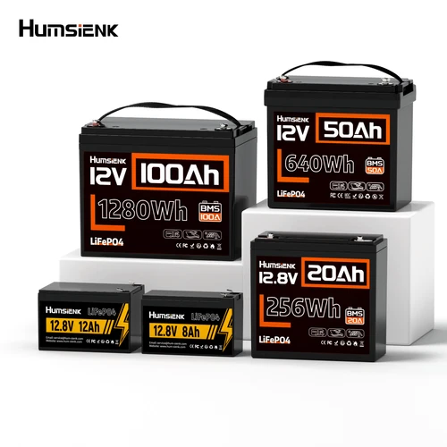12V 8Ah 20Ah 50Ah 100Ah LiFePO4 Lithium Battery BMS For RV Marine Solar Off-grid