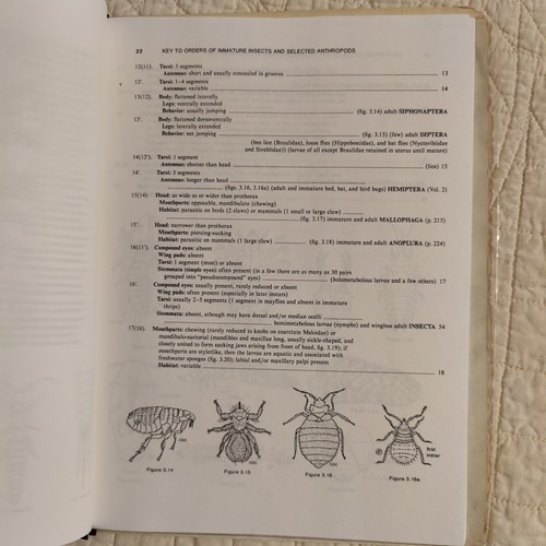 Schlüssel zu Orden unreifer Insekten und ausgewählter Arthropoden Stuart B. Hill Ökologie - Bild 4 von 24