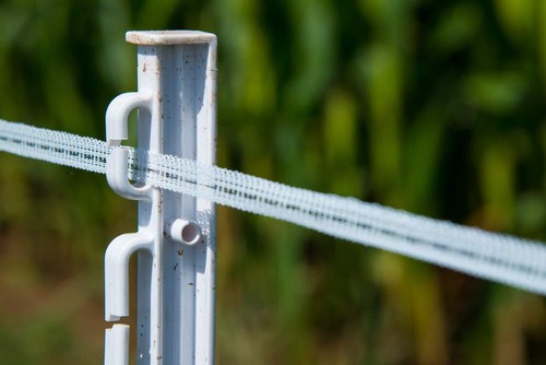 4FT ELECTRIC FENCE POLY POSTS Horse Pony Fencing Stakes White 10 20 40 60 100 - Picture 3 of 6