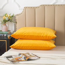 Set of 2 Velvet Pillowcase, Soft and Cozy Luxury Fuzzy Flannel Pillow Cover with