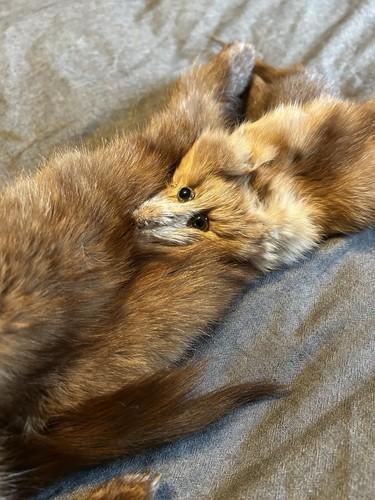 8 Vintage MINK FUR STOLE with head and paws