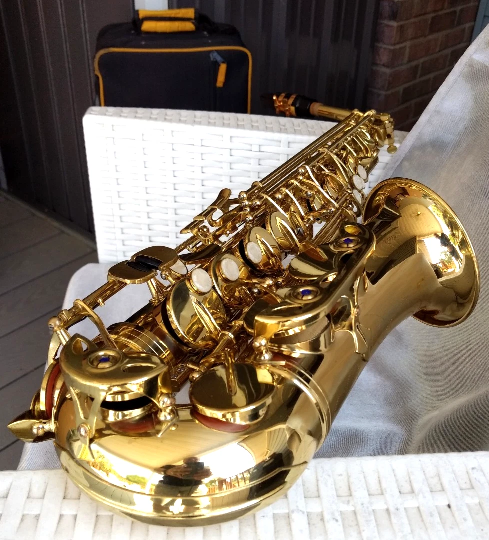 Selmer Saxophone Case In Vintage Saxophones for sale | eBay