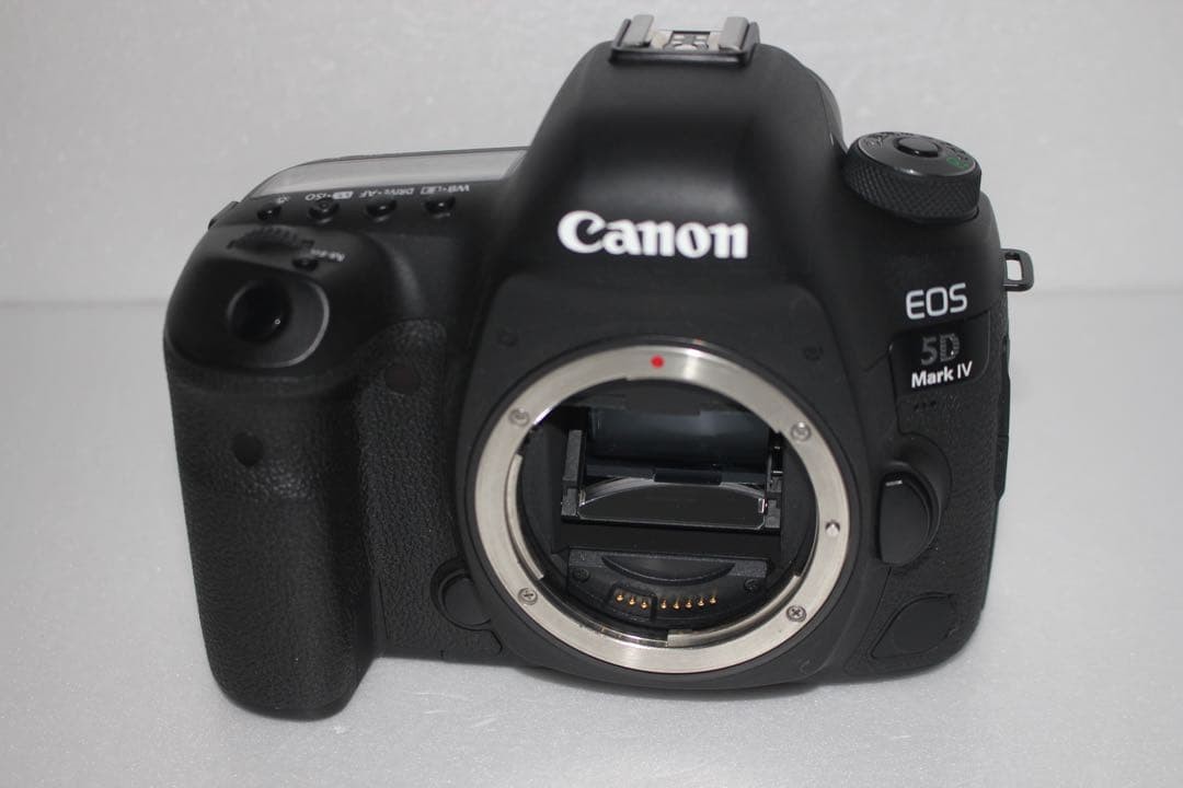 Canon EOS 5D Mark IV Camera with EF 100-300mm Lens Excellent