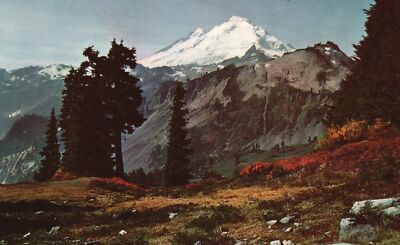 Postcard Mt. Baker In The Heart Of Cascade Mountains South Of Canadian Border WA