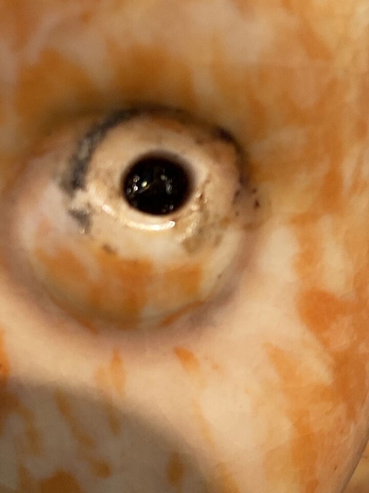 Vintage Crown Devon Bonzo Dog , Rare Colour , Circa 1930's eBay