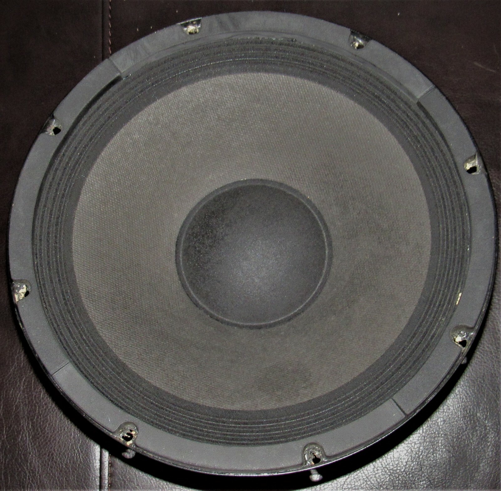 selenium 10 inch speaker