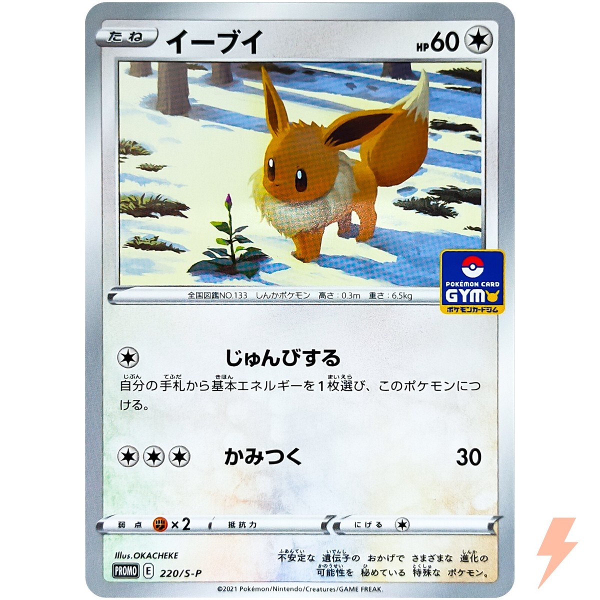 Eevee 220/S-P GYM PROMO - Pokemon Card Japanese | eBay Eevee 220/S-P GYM PROMO - Pokemon Card Japanese | eBay