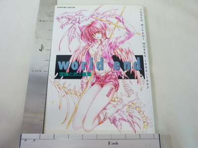 TOOKO MIYAGI Illustration WORLD END Gashu Book Art Works