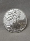 2010-  1 OZ. AMERICAN SILVER EAGLE - .999 FINE SILVER- NR AUCTION- FREE US SHIP
