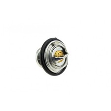 Thermostat Ssangyong KYRON