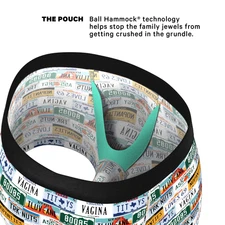 Shinesty "The DMV Catastrophe" License Plates Ball Hammock® Pouch Trunks Underwe