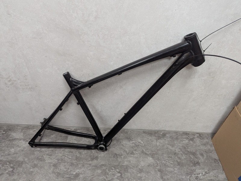 2021 Vitus Sentier VRX Frame - XL - 29er