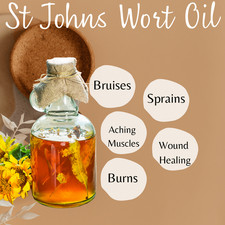 St John’s Wort Oil for Skin Nerve Pain Burns Eczema Scars – Herbal Oil UK Made