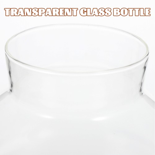 2 Pcs Eco-Flasche Pflanzgefäß-Terrarium Geschlossenes Terrarienglas - Bild 7 von 10