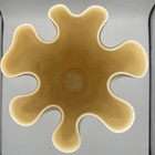 Bild 6 von 8