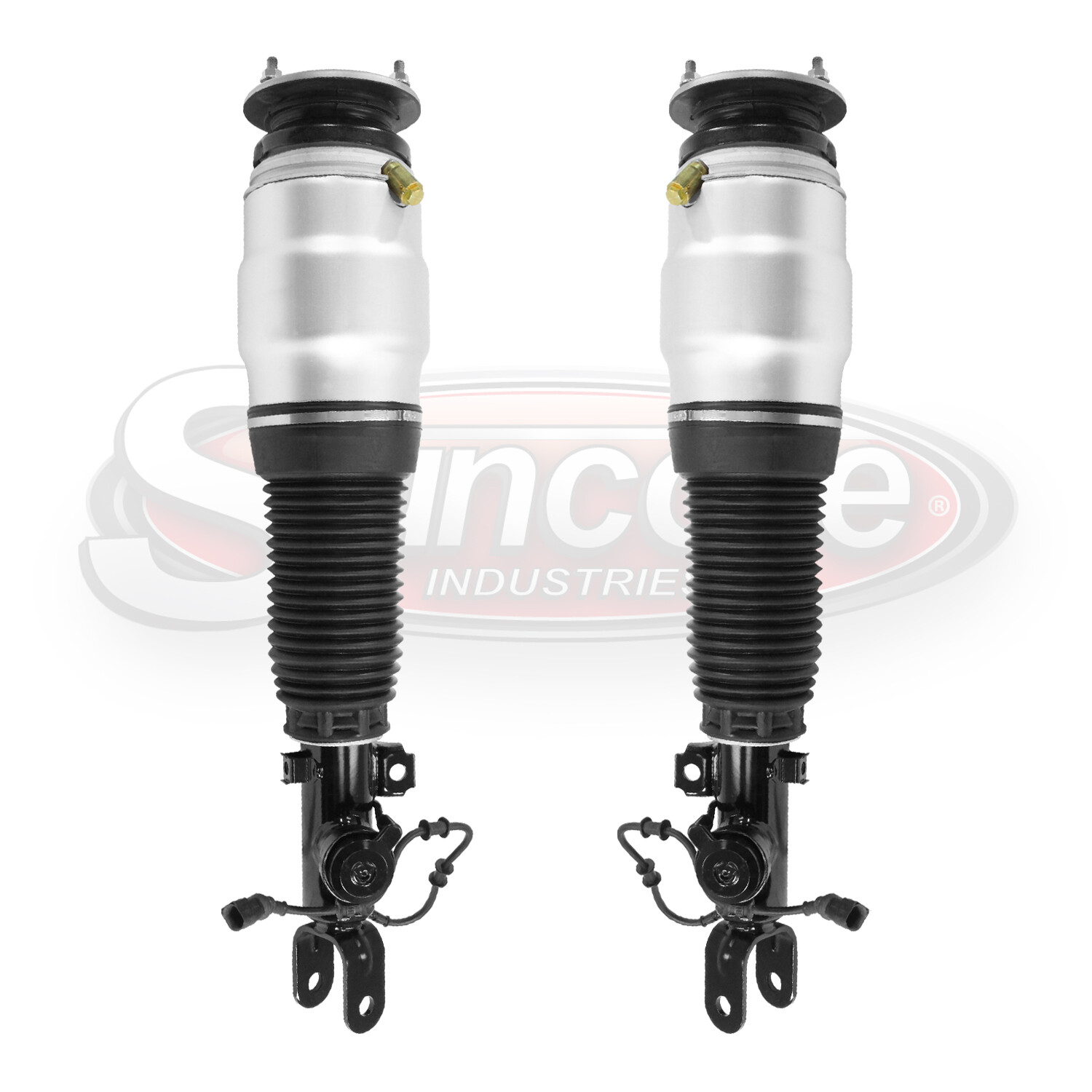 Front Pair Air Ride Suspension Air Strut Assemblies for 2011-2016 Hyundai Equus