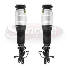Front Pair Air Ride Suspension Air Strut Assemblies For 2011-2016 Hyundai Equus Front Pair Air Ride Suspension Air Strut Assemblies For 2011-2016 Hyundai Equus