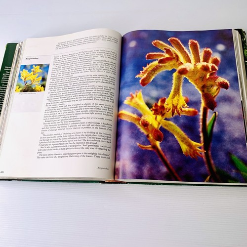The Complete Australian Gardener 1982 Hardcover Bay Books Plants Gardening Guide - Bild 11 von 12