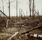 Bois-le-Prêtre 1915 Ruines de la Première Guerre mondiale Photo Plaque Stereo