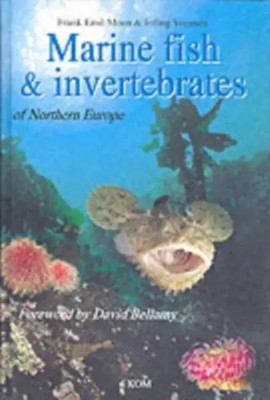 Marine Fish & Invertebrates of Northern Europe | Erling Svensen (u. a.) | Buch
