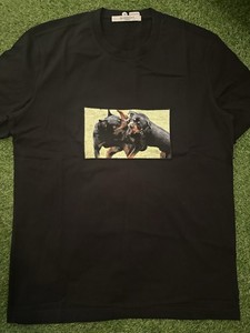 Givenchy Rottweiler | eBay