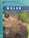 Welse von Vierke, Jörg | Buch | Zustand gut