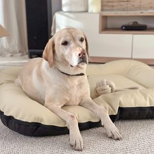 4L Textil ELLA Hundebett Kunstleder XL Hundebett große Hunde Hundematratze