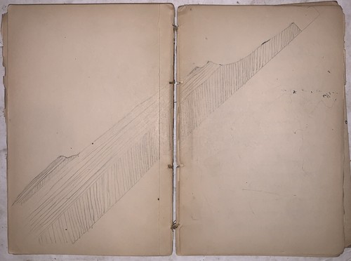 1880's, ILLUSTRATED MANUSCRIPT NOTEBOOK, NATURAL HISTORY, LOUIS KRUMBHAAR - Picture 11 of 12