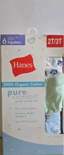 Hanes 10 Pack Girls Toddler 2T-3T Hipster Underwear - Blue Lavender Floral