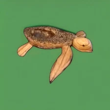 Vide poche tortue en bois coco martinique